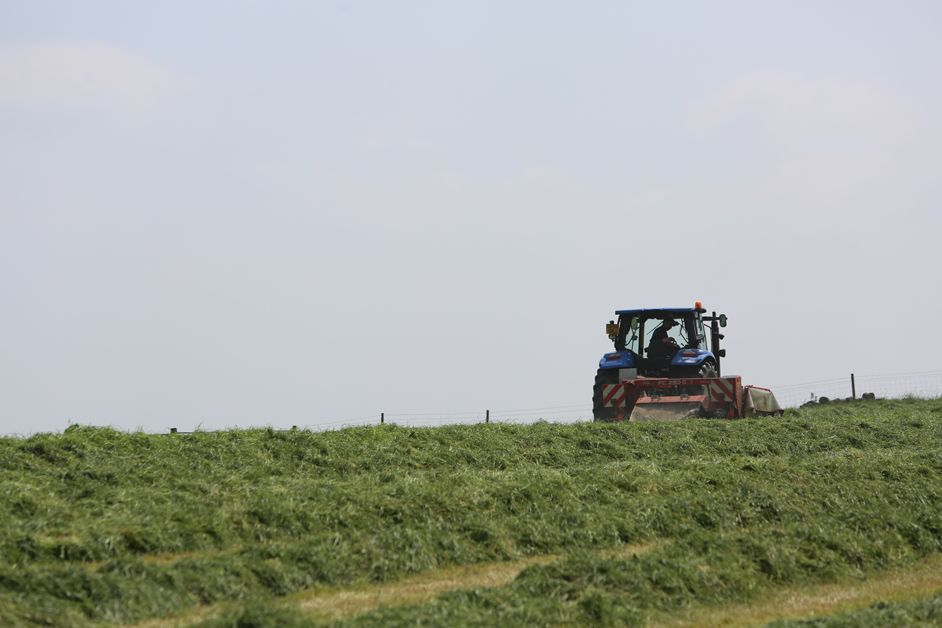 Tractor mowing grass in a field