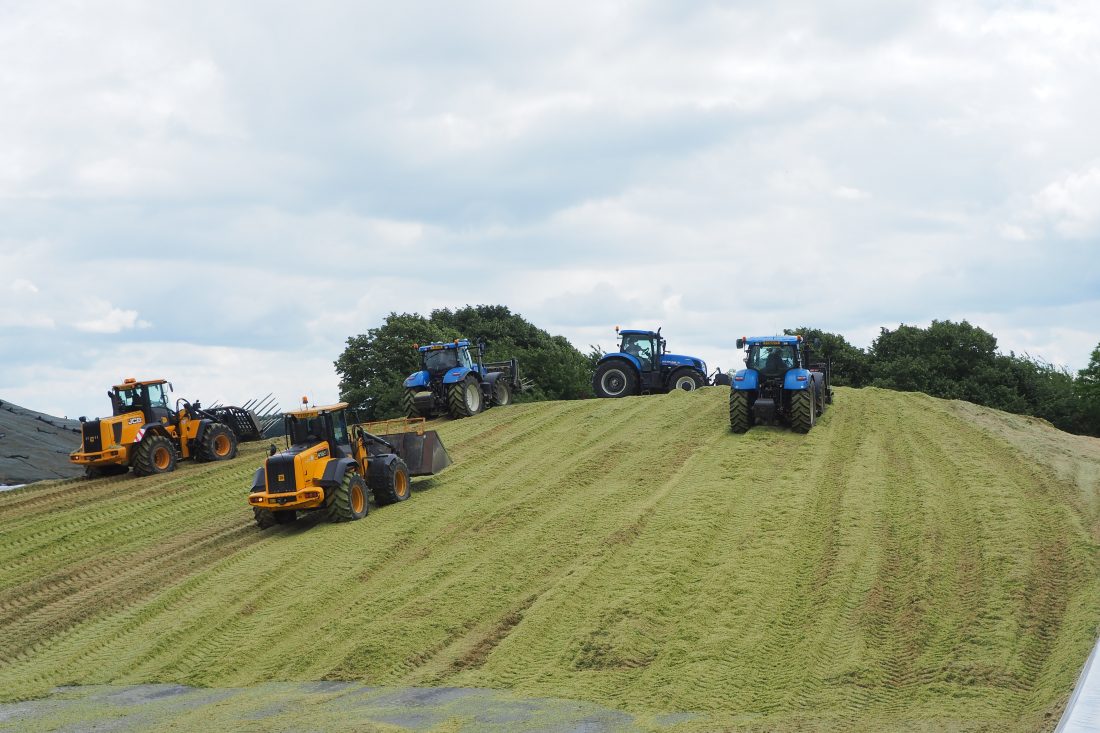 Rolling the silage clamp