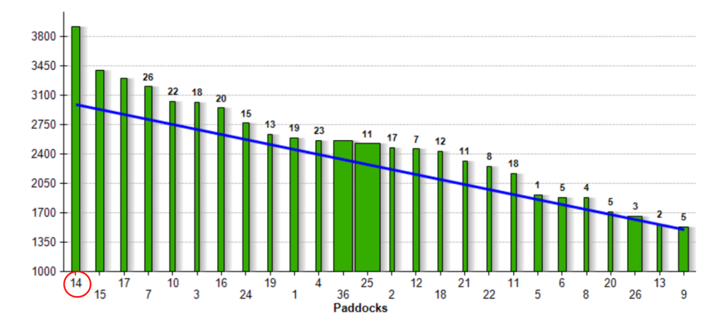 A grass wedge in mid-May, demonstrating the kg DM/ha in each paddock.