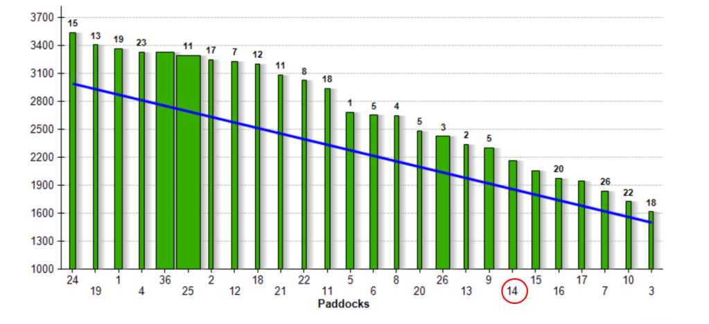 A grass wedge demonstrating the kg DM/ha in each paddock.