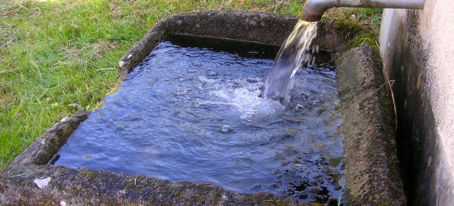 full water trough