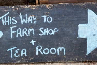 Photo of hand written sign saying "this way to farm shop and tea room"
