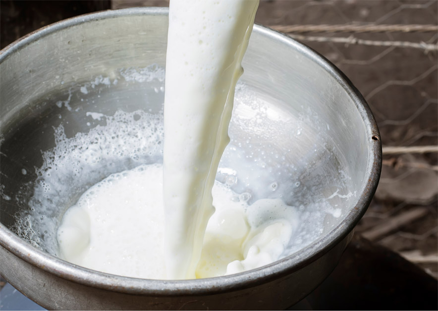 Milk being poured into a metal bowl