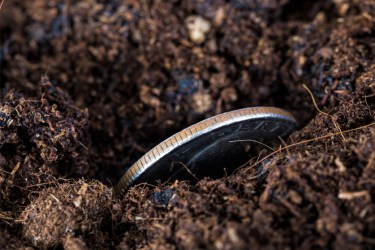 American coin half-buried in soil