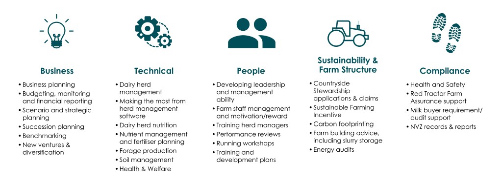 Image showing core services of Promar's Farm Consultancy services