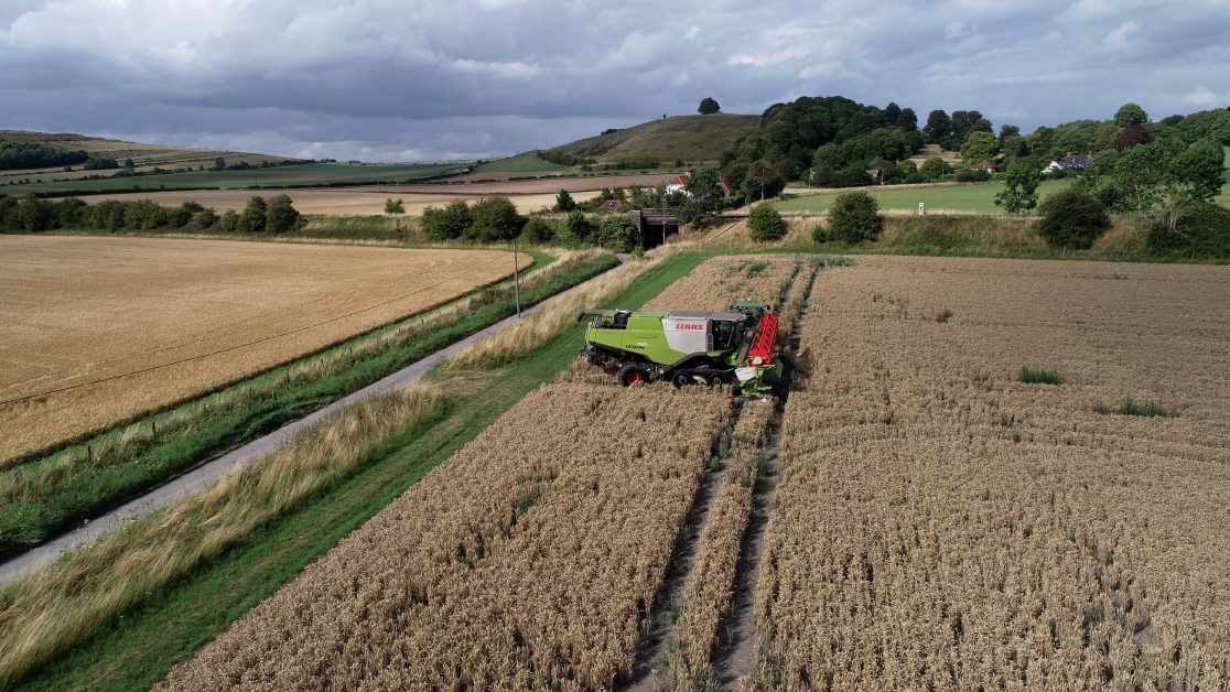 Grain harvesting in England. The latest government food strategy emphasises food security