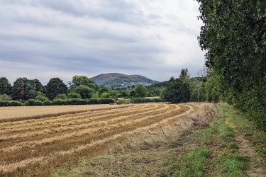 Combine harvester in a Worcestershire field