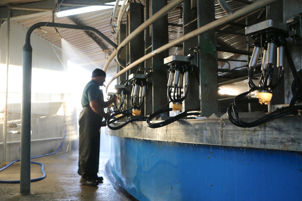 How UK dairy farmers can protect margins amid falling milk prices ...