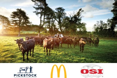 Cows on Brongain Farm, with logos of Pickstock, McDonald's and OSI