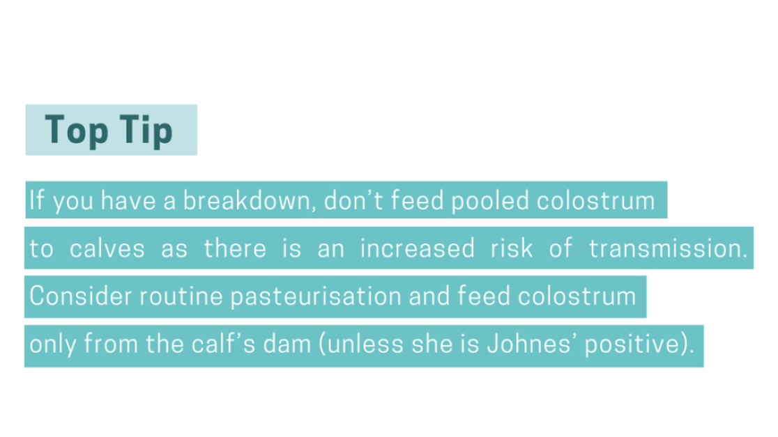 Text image - top tip: don't feed pooled colostrum to calves if you have a tb outbreak