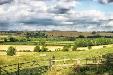 English landscape, late summer
