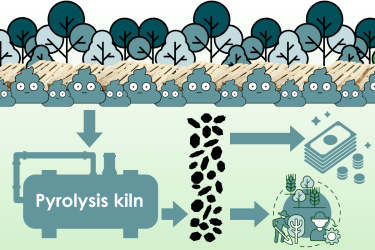 Biochar production visual