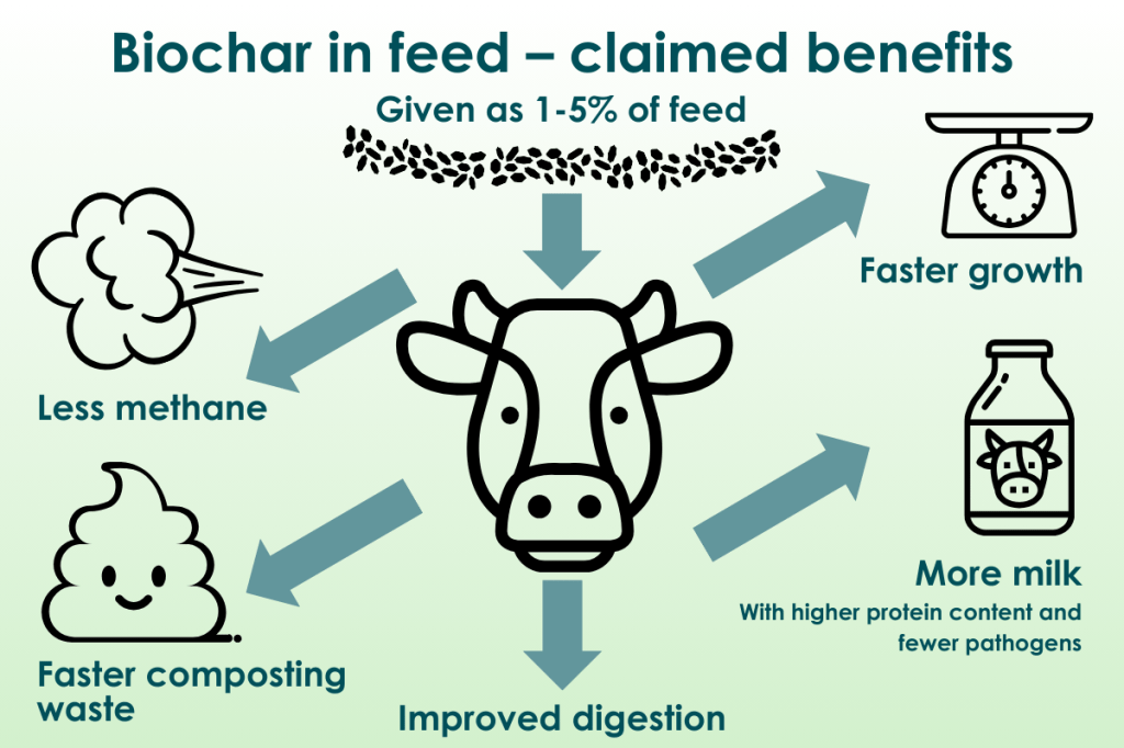 Biochar in feed - claimed benefits