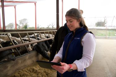 Promar consultant calculating cash cost of production